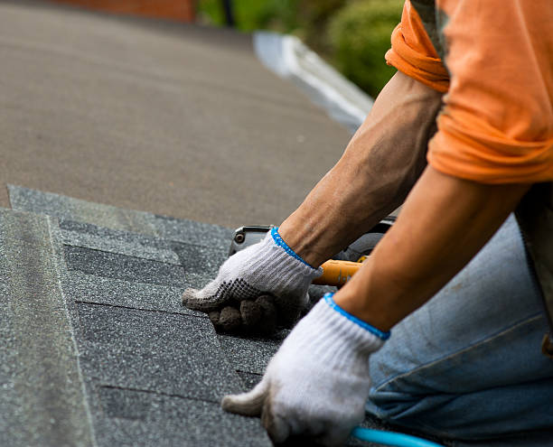 Quick and Trustworthy Emergency Roof Repair Services in Chicago, IL